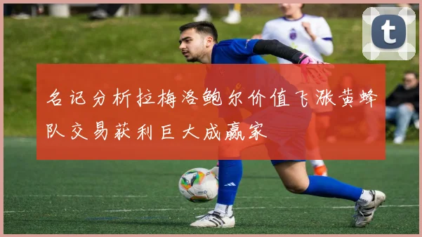 名记分析拉梅洛鲍尔价值飞涨黄蜂队交易获利巨大成赢家