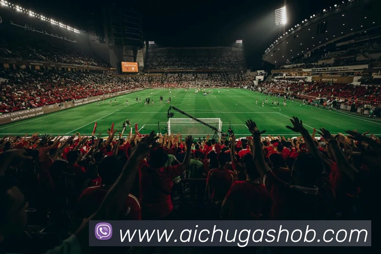 aoa官方入口链接服务体系